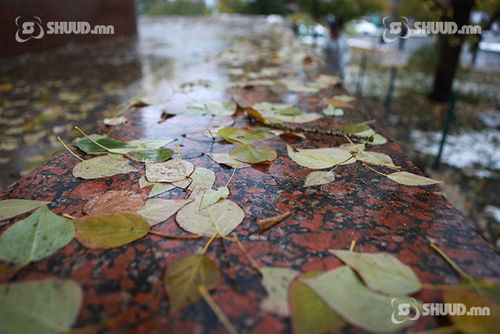 Намрын хөтөч: Унших ном, сонсох дуу, үзэх кино